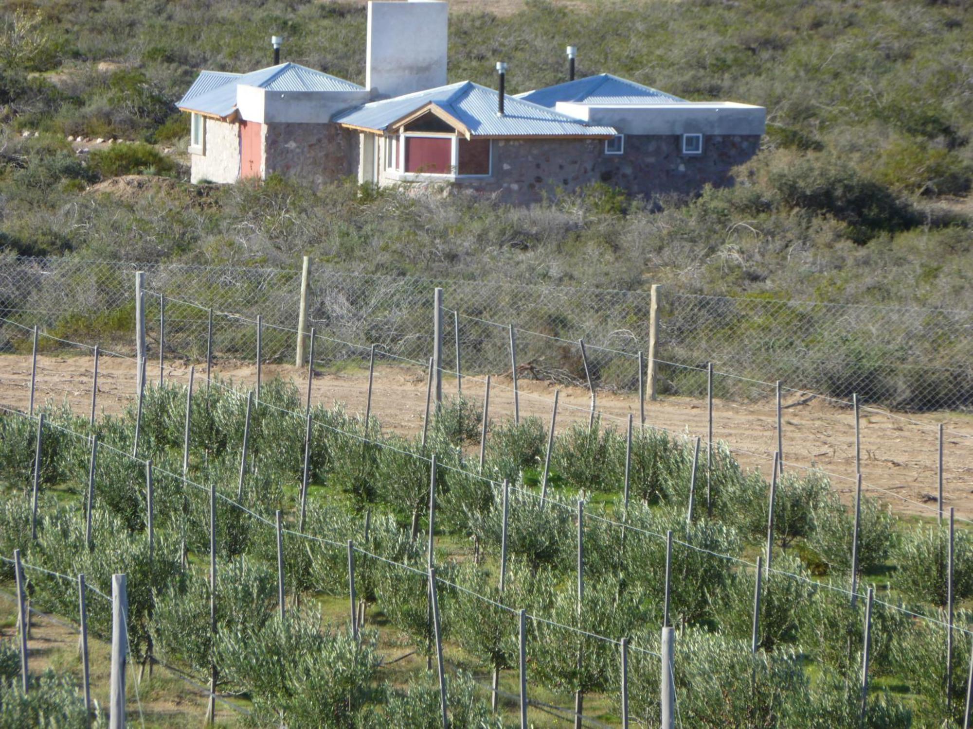 La Calandria Casa De Campo Villa Puerto Madryn Exterior foto