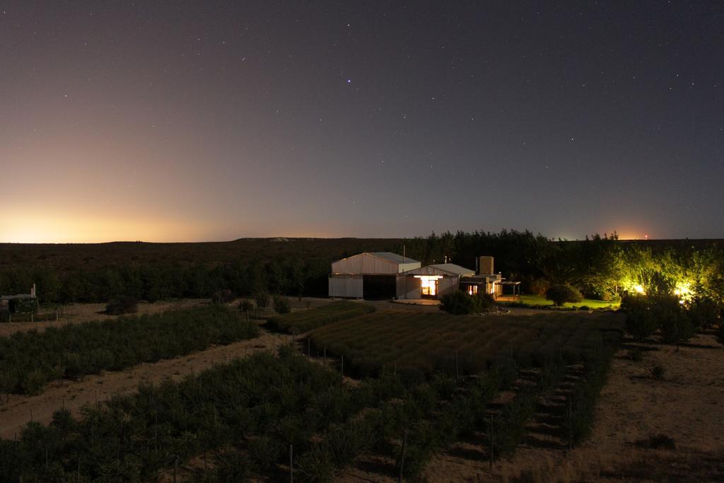 La Calandria Casa De Campo Villa Puerto Madryn Exterior foto