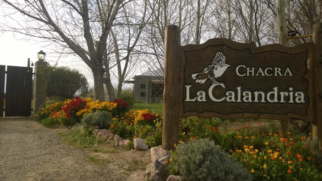 La Calandria Casa De Campo Villa Puerto Madryn Exterior foto
