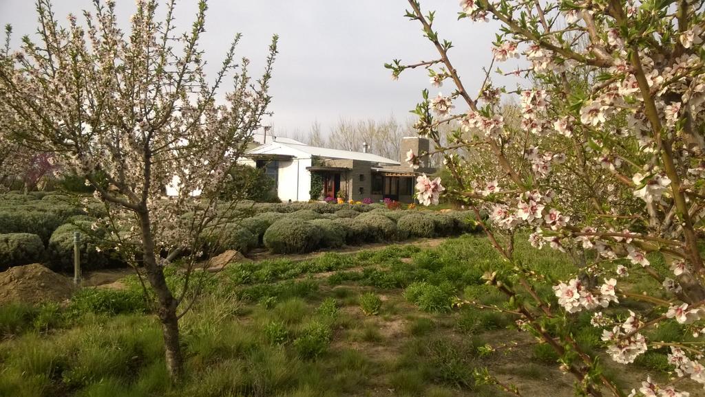 La Calandria Casa De Campo Villa Puerto Madryn Exterior foto